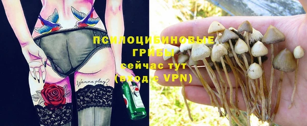 кокаин перу Вяземский