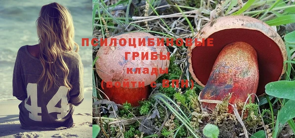 прущий лед Вязьма