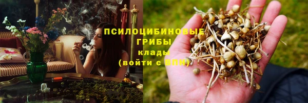 прущие крисы Вязники